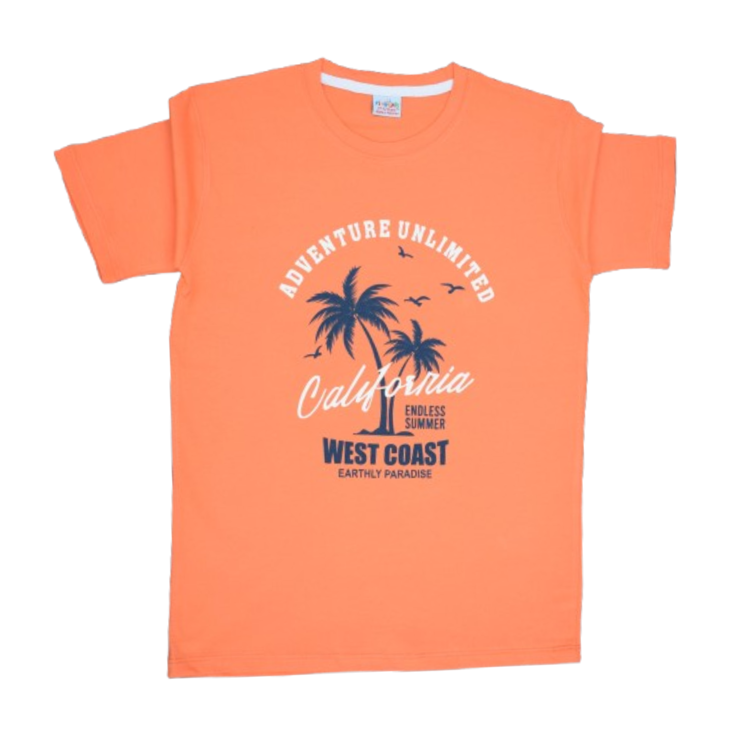 Boys Cotton Jersey T-Shirt