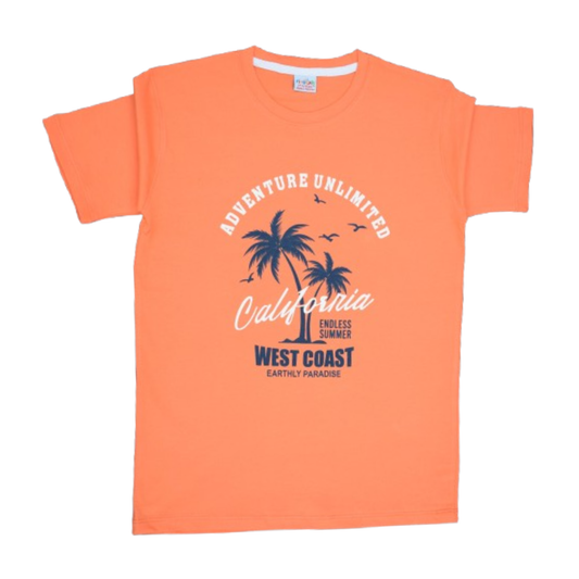 Boys Cotton Jersey T-Shirt