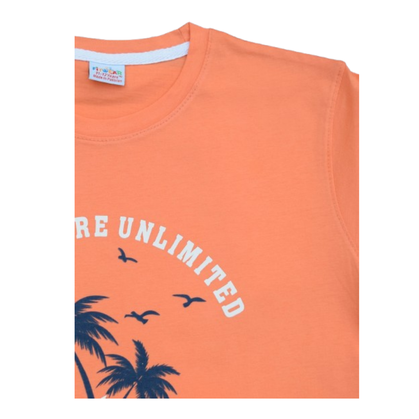 Boys Cotton Jersey T-Shirt