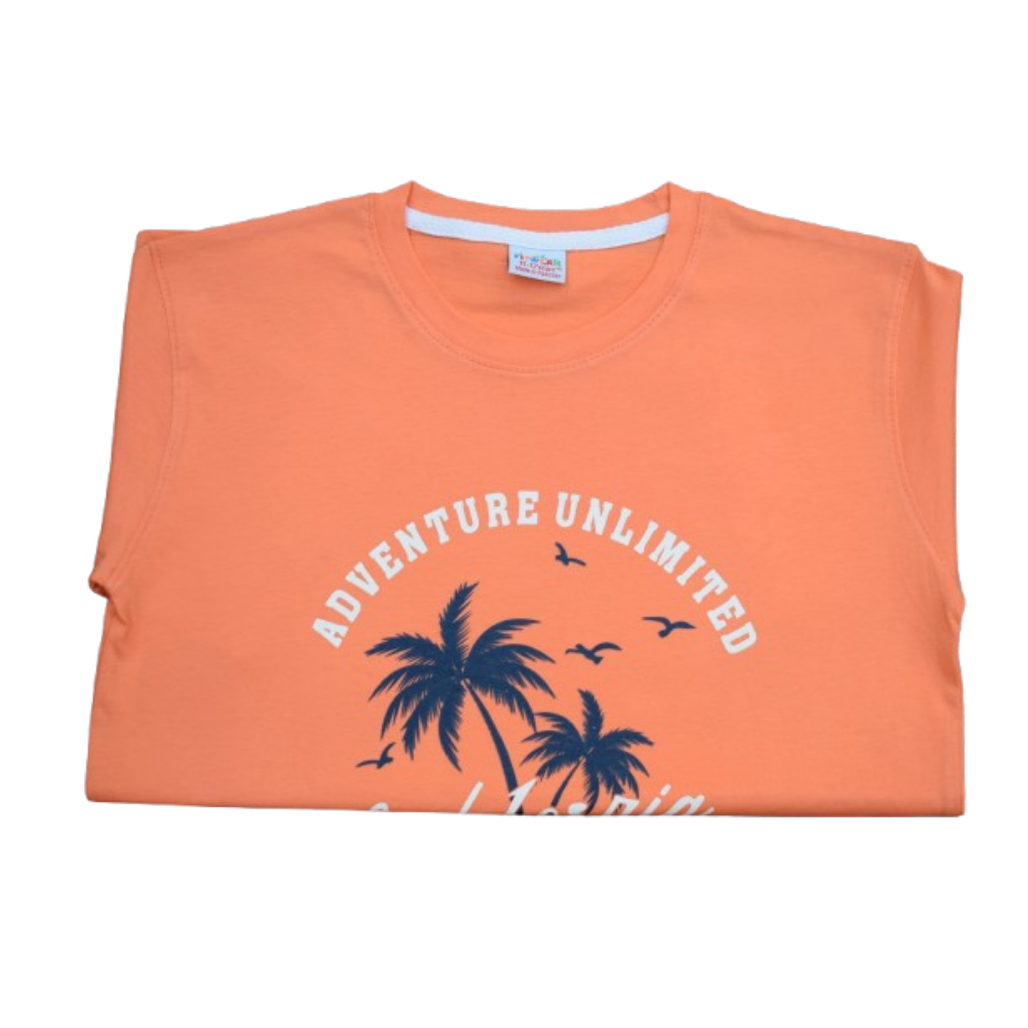 Boys Cotton Jersey T-Shirt