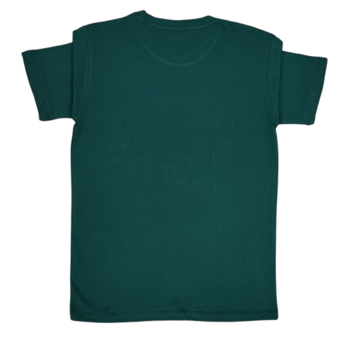 Boys Cotton Jersey T-Shirt